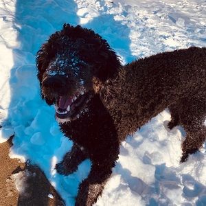 Meet your Posher, Patricia